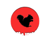 Cool squirrel saying