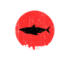 Cool shark saying