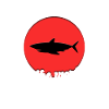 Cool shark saying