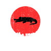Cool crocodile saying