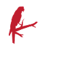 Parrot mom