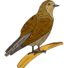 Oiseau