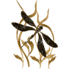 Libelle