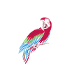 Anatomie d’un perroquet