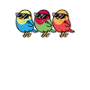 Three birds with sunglasses