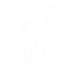 Chat d’art abstrait