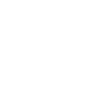 Emu / Ratite / Portrait