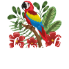 Tropical summer parrot