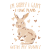 Rabbit Animal Pet Rabbit