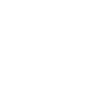 Der deutsche Fußball Fan