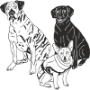 Hunde