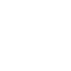 Duck animal