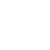 Skeleon Skull