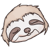 Sleeping Sloth Face