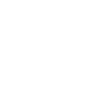 The diesel cars
