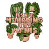 Hoarding plants
