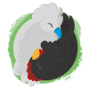 Jing Jang Chickens