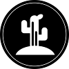 Cactus plant
