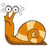 Snail