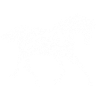 Horse white