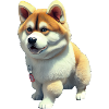 Akita Dog - Akita