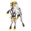 Appaloosa with golden hooves