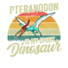 Pteranodon Dinosaur Enfants Dino Cadeau