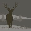 Deer in the mountains.