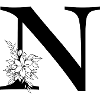 Letter N