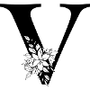 Point V