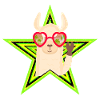 Alpaca / Lama Jamaican look