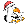 Mouette Noël Sommeil Sommeil Sommeil