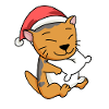 Scottish Fold-eared Cat Christmas Sleep