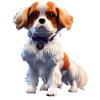 Cavalier King Charles Dog - Cavalier King Charles