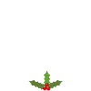 JOYEUX NOEL