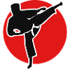 Karate Combat Sport