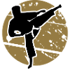 Karate Combat Sport