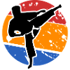 Karate Combat Sport