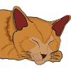 Sleeping Cat Illustration Gift