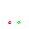 Australian Kelpie