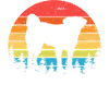 Appenzeller Sennenhund