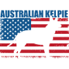 Australian Kelpie