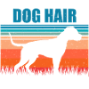 American Pit Bull Terrier