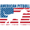 American Pit Bull Terrier