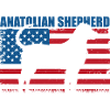 Chien de berger d’Anatolie