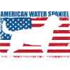 American Water Spaniel