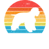 American Cocker Spaniel