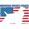 American Cocker Spaniel