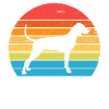 American English Coonhound