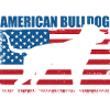 American Bulldog Amerikanische Bulldogge